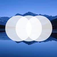 MitchelLake Group logo