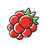 FoodBerry logo