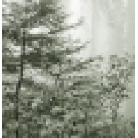 Calvin Edwards & Company logo