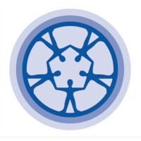 New England Complex Systems Institute logo