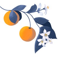 Fruitful logo