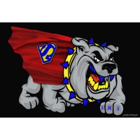 Southern High School logo