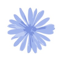 Chicory logo