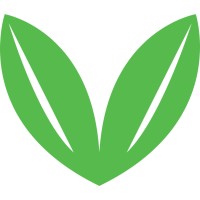 Clove logo