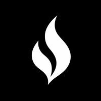 V11 logo