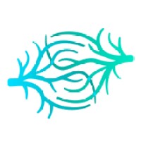 Coral (acquihired) logo